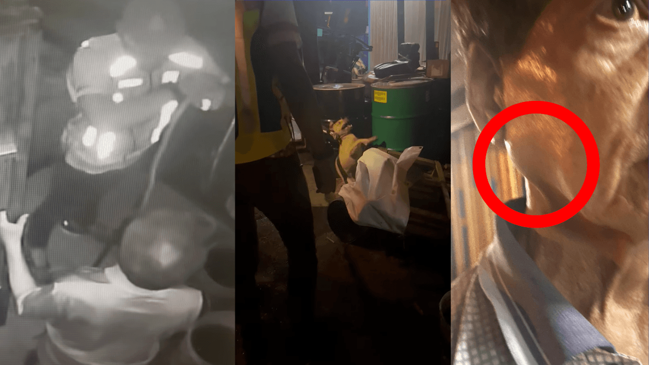Caught On Camera: Startling Footage Shows Alleged Assault Of Senior Citizen By MBPJ Officers